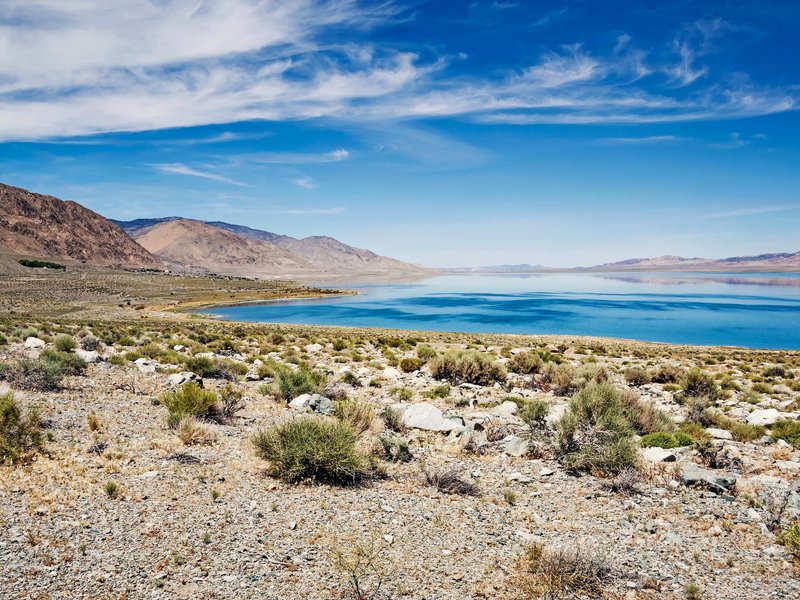 walker-lake-hawthorne