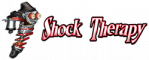 Shock Therapy – Event Title Sponsor – Parker 250 logo